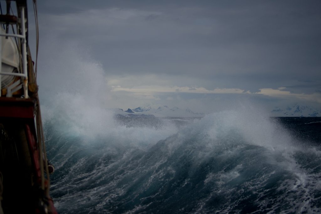 huge wave at daytime